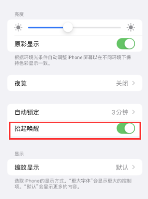 社旗县苹果授权维修站分享iPhone轻点无法唤醒怎么办 社旗县苹果授权维修站分享iPhone轻点无法唤醒怎么办