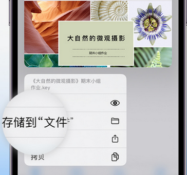 社旗县apple维修中心分享iPhone文件应用中存储和找到下载文件