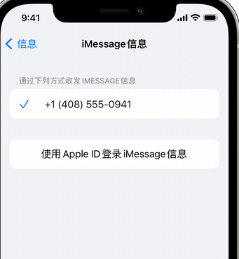 社旗县apple维修iPhone上无法正常发送iMessage信息 