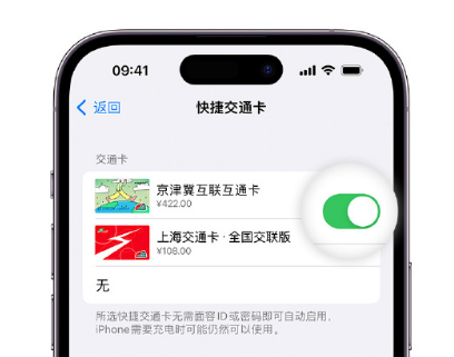 社旗县apple维修点分享iPhone上更换Apple Pay快捷交通卡手绘卡面 