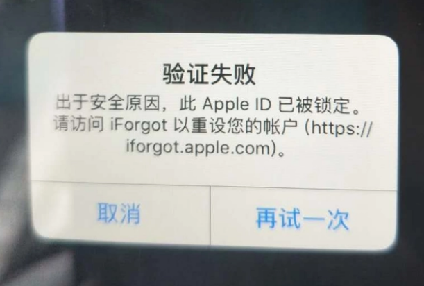 社旗县iPhone维修分享iPhone上正常登录或使用AppleID怎么办 