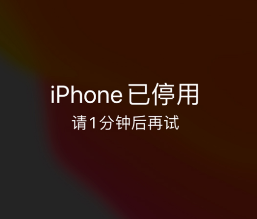 社旗县苹果手机维修分享:iPhone 显示“不可用”或“已停用”怎么办？还能保留数据吗？ 