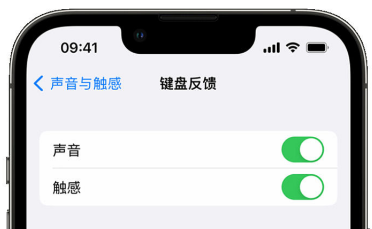 社旗县苹果手机维修分享iPhone 14触感键盘使用方法 