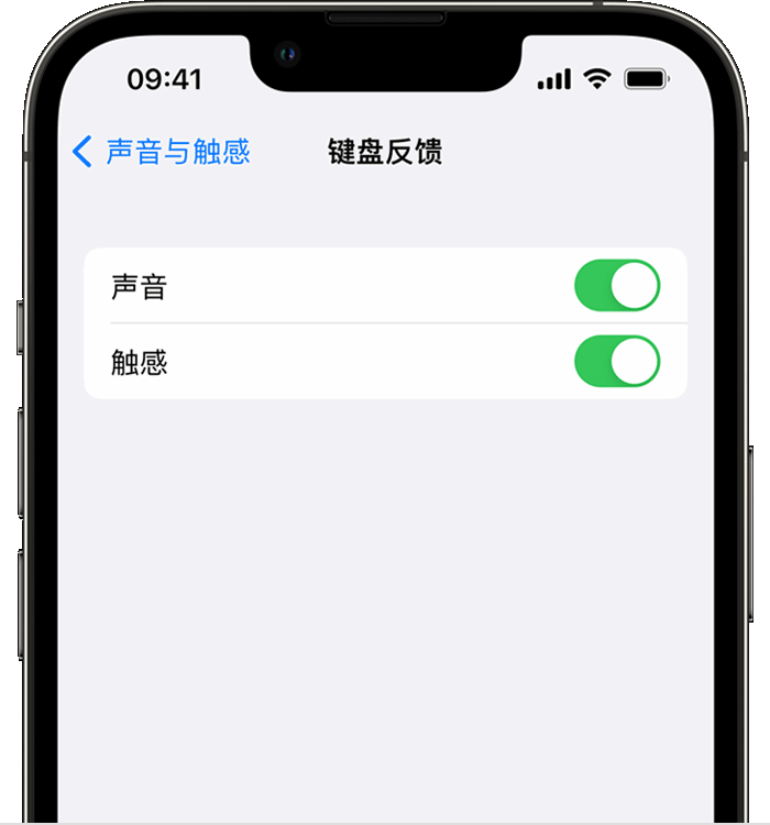 社旗县苹果14维修店分享如何在 iPhone 14 机型中使用触感键盘 