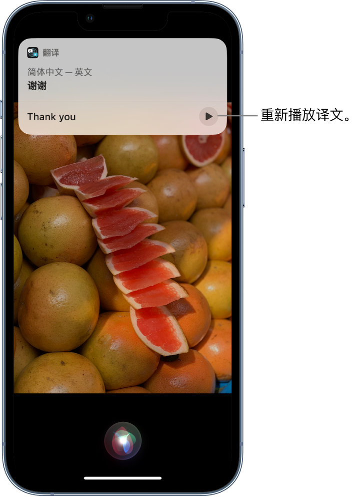 社旗县苹果14维修分享 iPhone 14 机型中使用 Siri：了解 Siri 能帮你做什么 