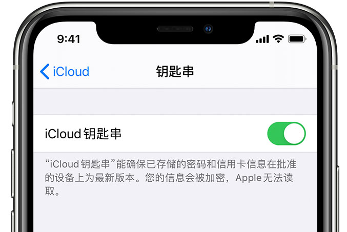 社旗县苹果手机维修分享在 iPhone 上开启 iCloud 钥匙串之后会储存哪些信息 