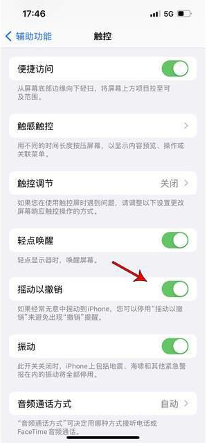 社旗县苹果手机维修分享iPhone手机如何设置摇一摇删除文字 