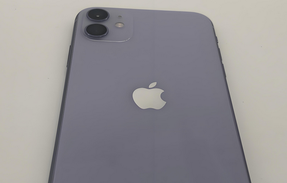 社旗县苹果11系统维修分享iPhone11手机系统崩溃无法开机如何解决 